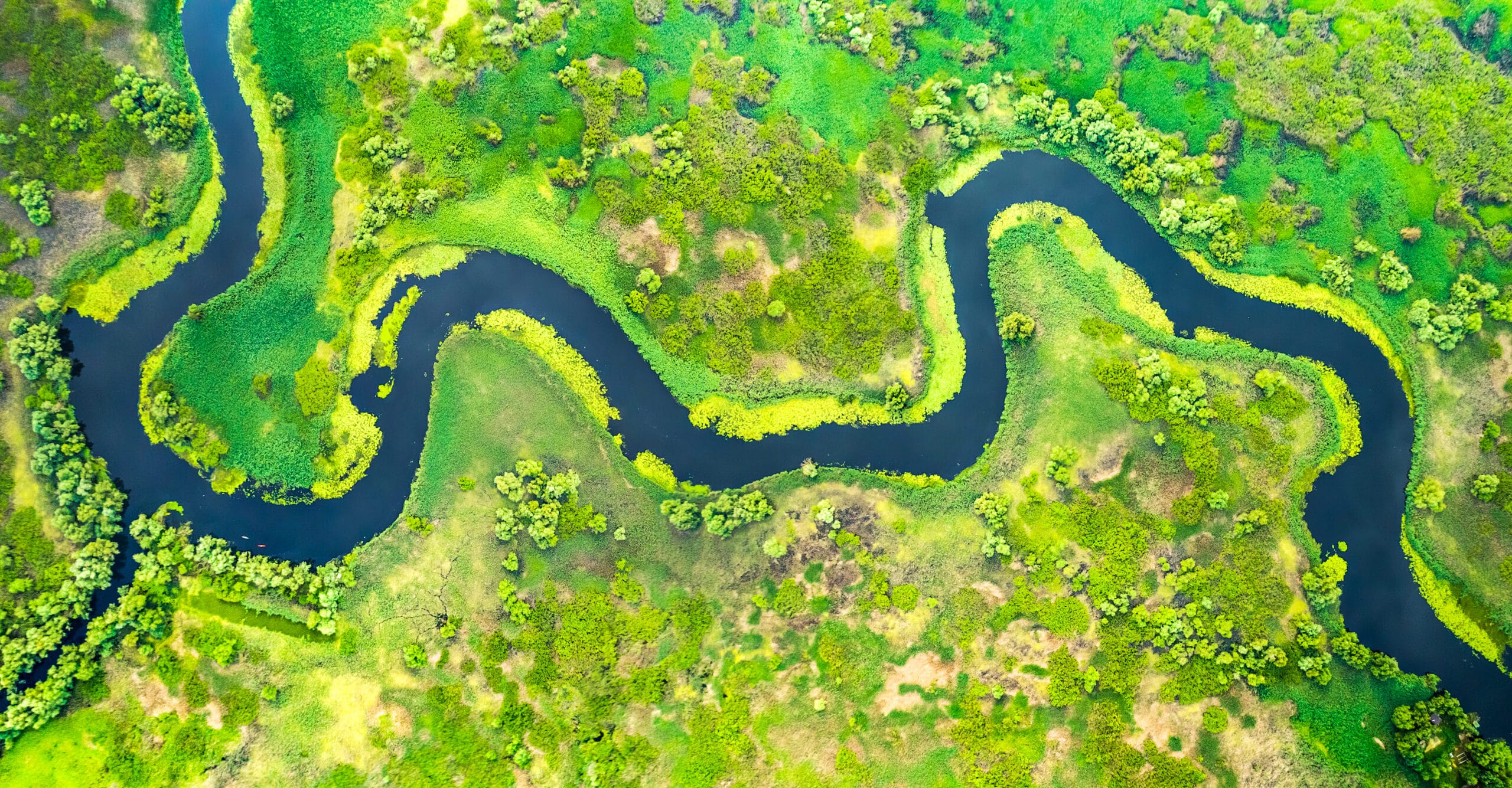 “Knowledge on nature-related impacts and risks must lead to action” - 3Keel