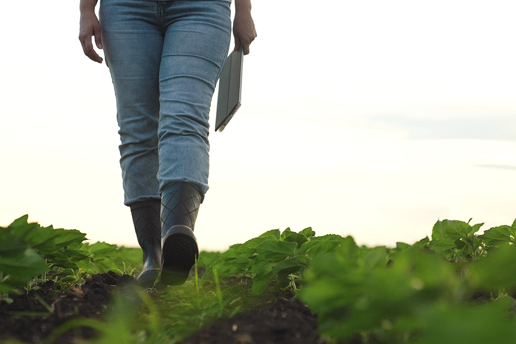 farmer in field with tablet
