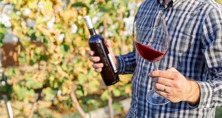 Handsome wine maker holding in his hand a glass of red wine and tasting it, checking wine quality while standing in vineyard. Small business, Homemade wine making concept. Long banner format