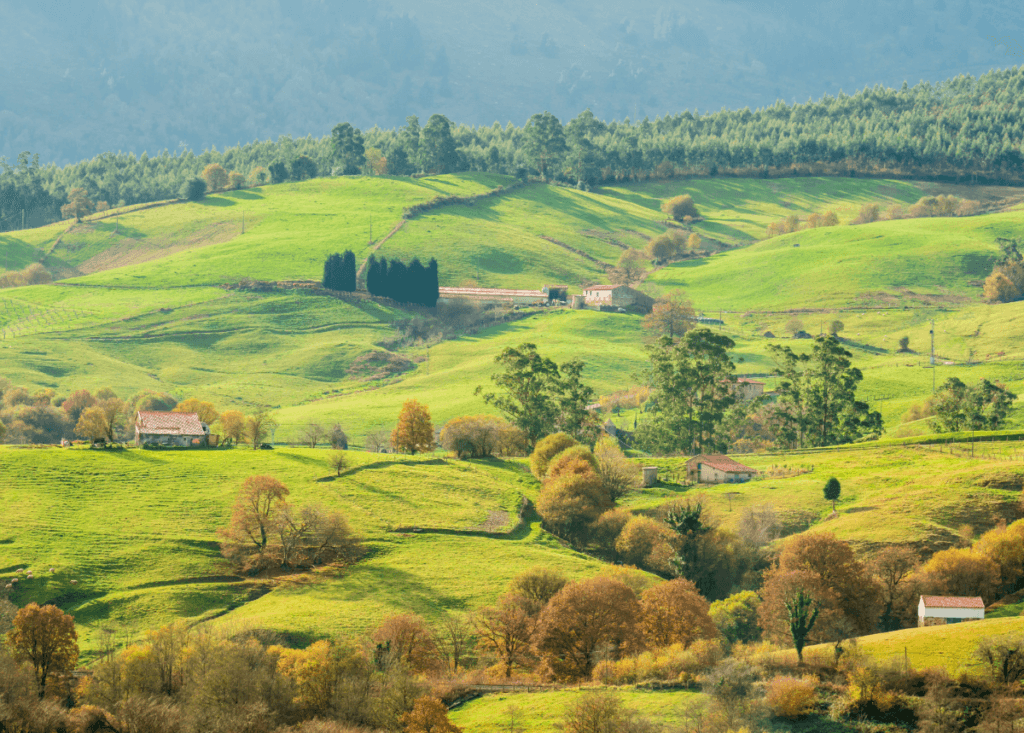 call-for-expressions-of-interest-funding-opportunity-for-nature